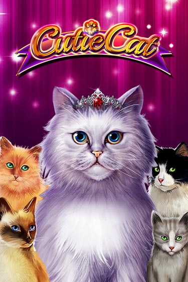 Cutie Cat играть демо | Слотозал без регистрации